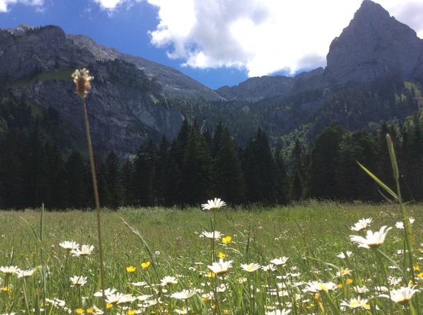 Blick ins Ammergebirge