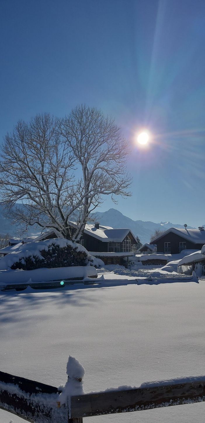 Wintertraum