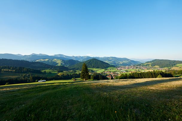 Oberstaufen Panorama von Kalzhofen