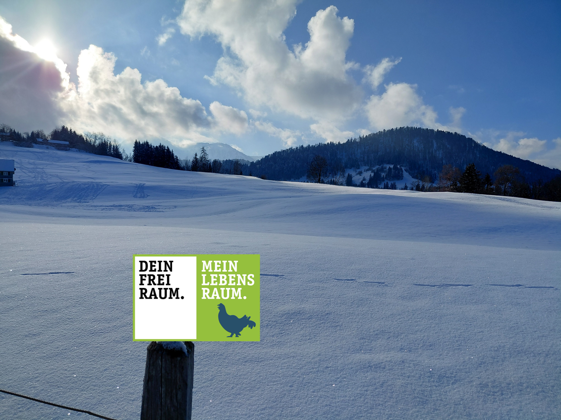 Winterwanderung rund um Hittisau