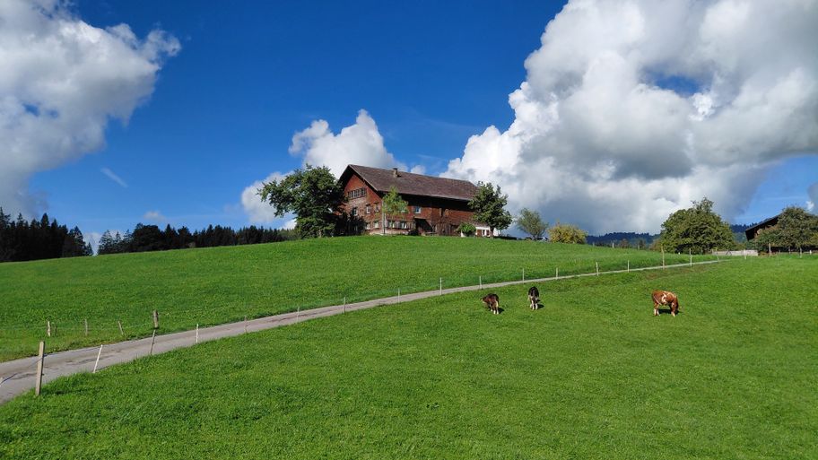Typische Kulturlandschaft des Bregenzerwaldes