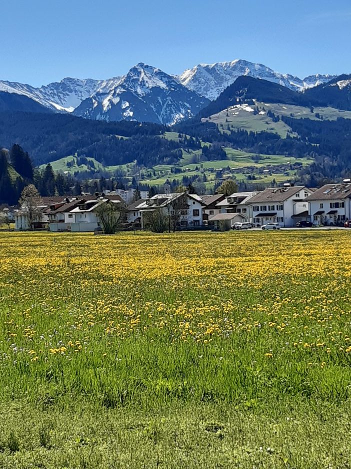 Bergblick