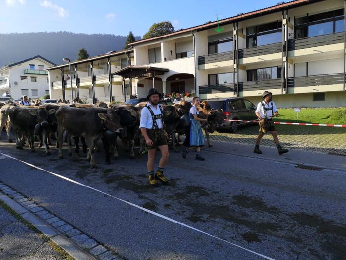 Außenansicht Almabtrieb