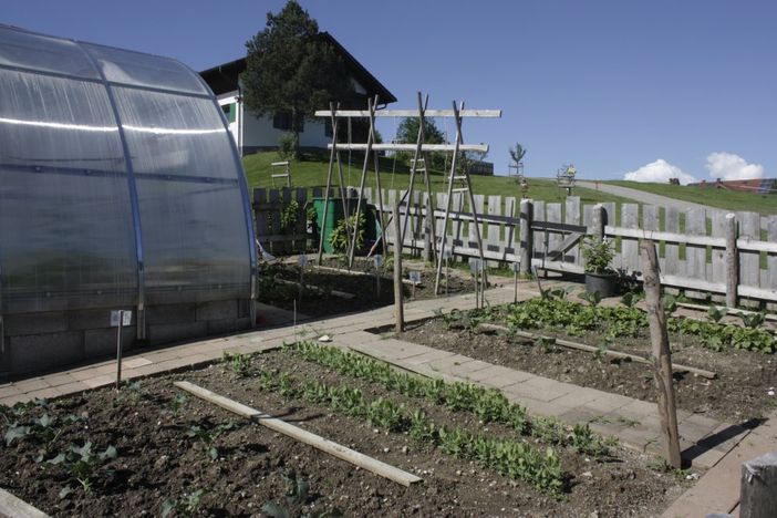 im Gemüsegarten