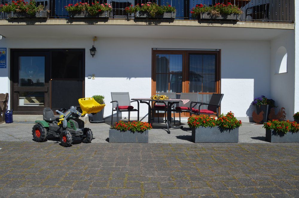 Terrasse Silberdistel