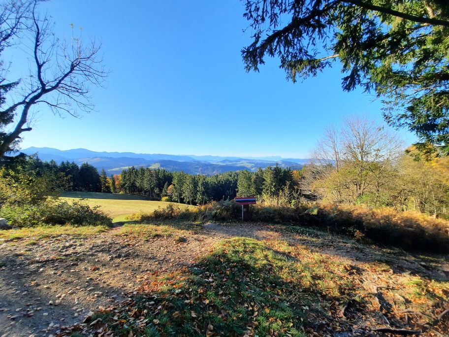 Riedholzer Kugel Aussicht