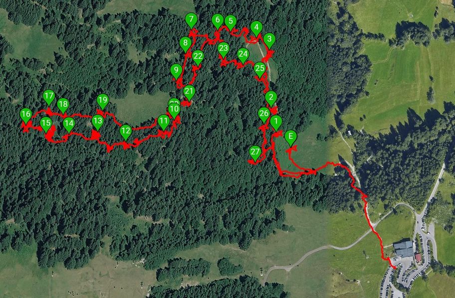 Wildbach-Parcours