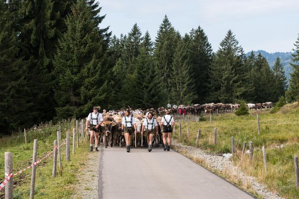 Auf dem Weg ins Tal