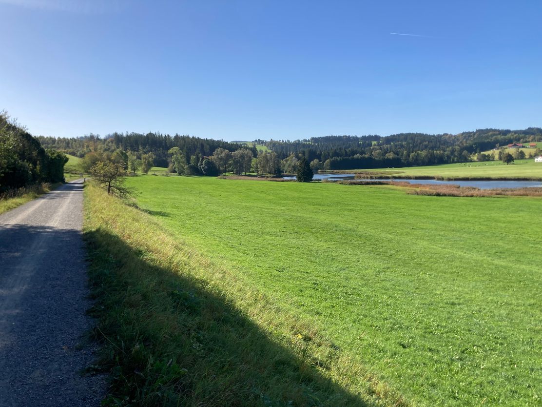 Allgäu-Radweg am Herrenwieser Weiher