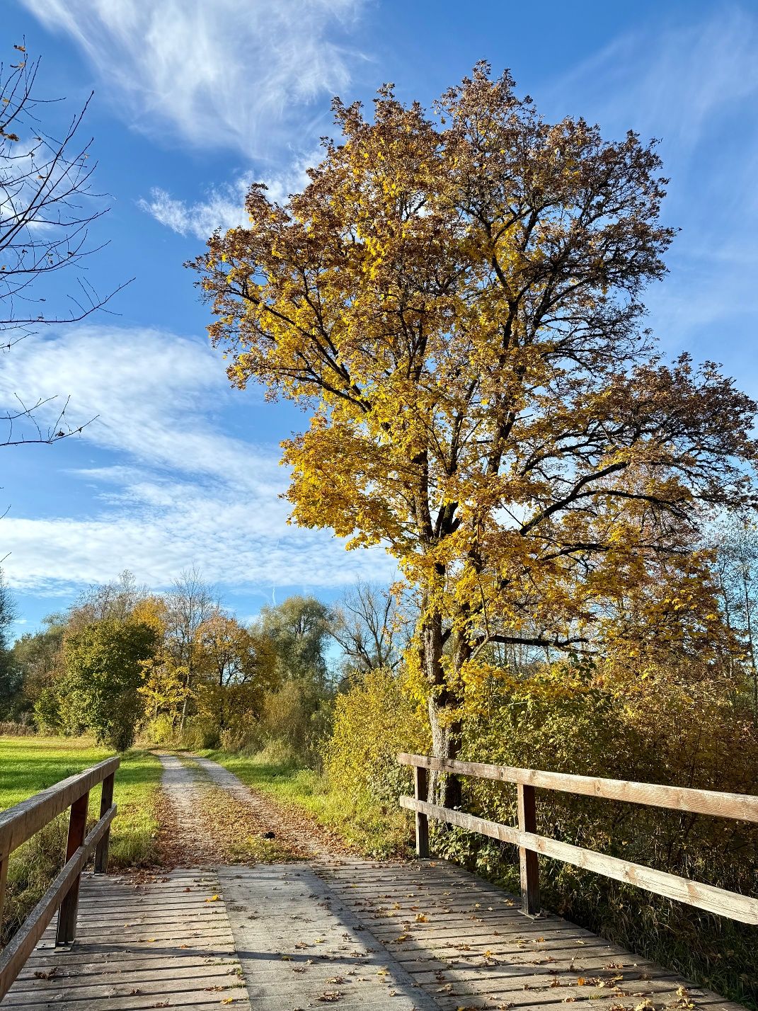 Wertach-Viehweid-Runde