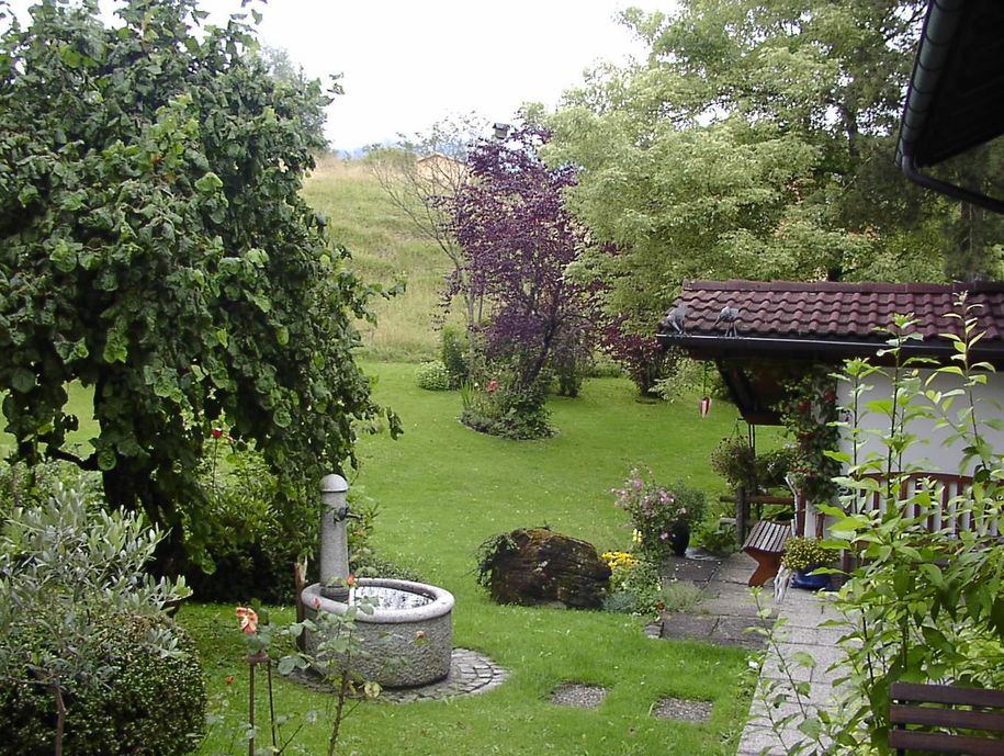 Blick in den Garten