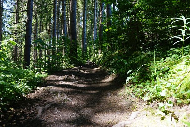 Allgäuer Königsalpenroute - Etappe 5: Roßhaupten-Lechbruck am See