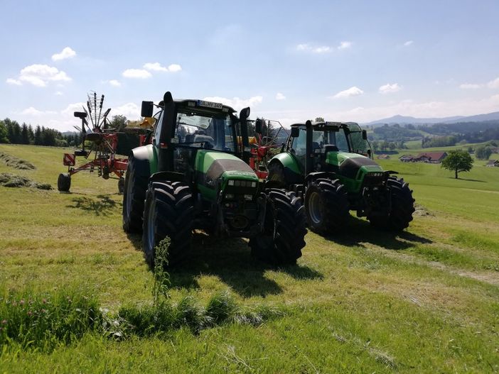 Bei der Silageernte